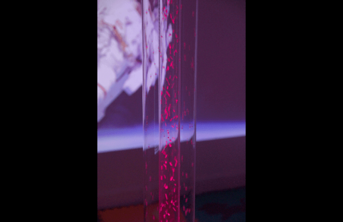 Picture of AP Air tube
